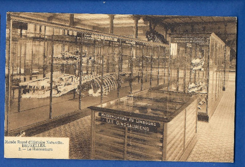 Paleontologia dinosauro - paleontologia,