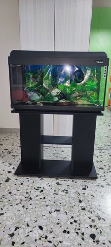Acquario advance - acquario, (80x30)