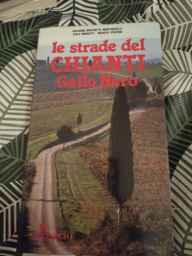 Strade del chianti gallo - chianti,