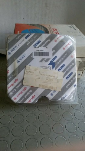 Cinghia distribuzione 60674528
