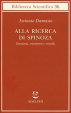 Libro alla ricerca spinoza - alla, di