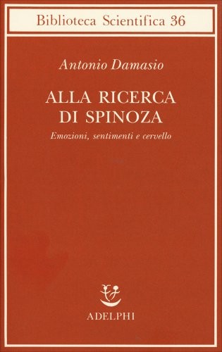 Libro alla ricerca spinoza - libro, di