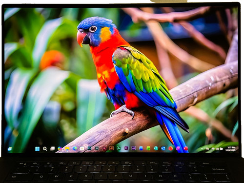 Dell xps 9510 - xps, oled