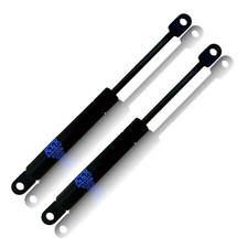 Sostituzione Liftomat 236195