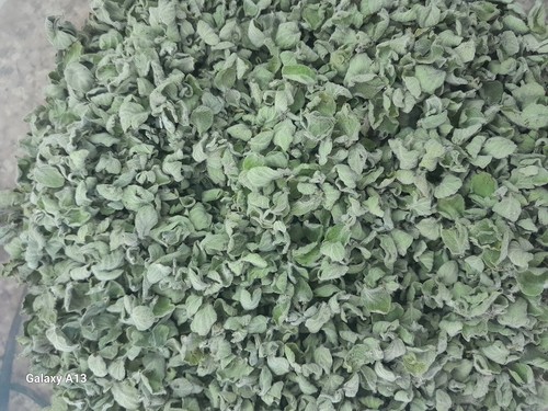 Foglie zaatar timo - foglie, di