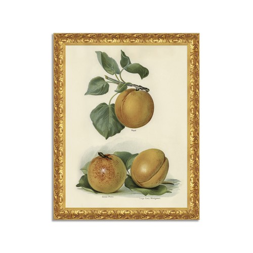 Quadro stampa tela - stampa, effetto
