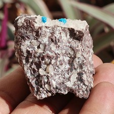 Small tinny Cavansite twice