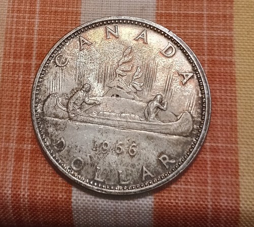 Moneta argento dollari - moneta,
