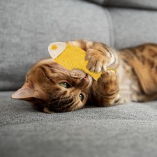 Erba Gatta a Forma di Pesce