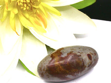 SHIVA LINGAM - NARMADA, INDE -
