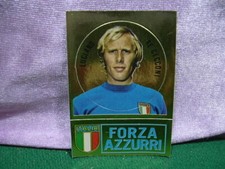 FIGURINA CALCIATORI PANINI
