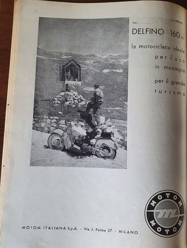 Moto motom delfino - delfino, 160