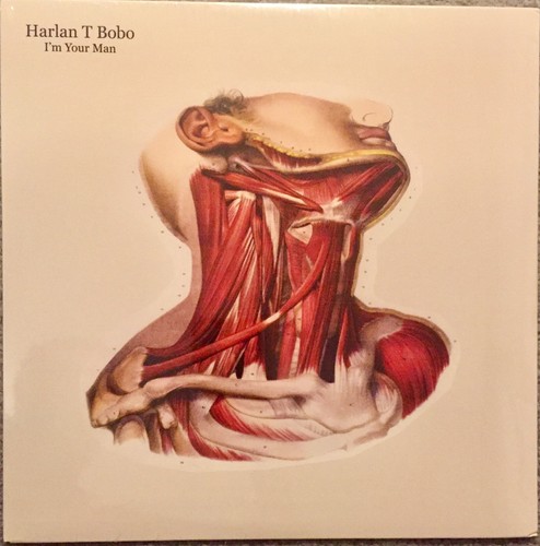 Harlan bobo your - t, i’m