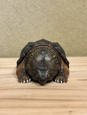 Testa Gigante Alligatore