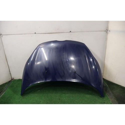 Cofano ant ford - cofano,