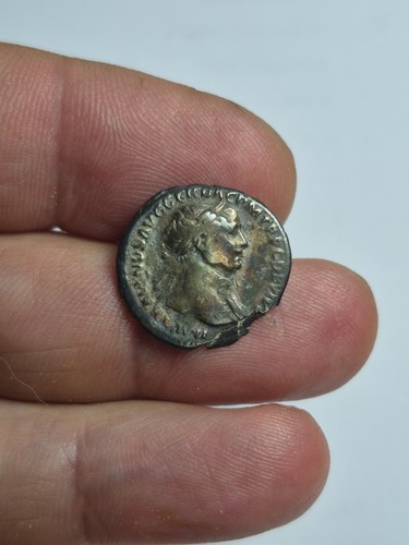 Raro denario trajano - nt/, divus