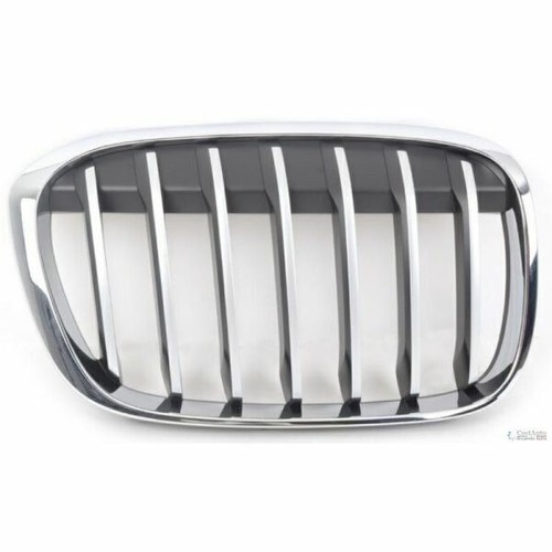 Coppia griglie cromate - coppia, bmw