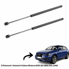 2  MOLLE A GAS PISTONCINI