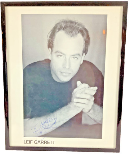 Leif garret singer teen - leif,