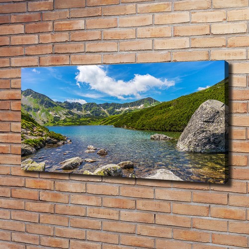 Stampa tela tulup wall art - su,