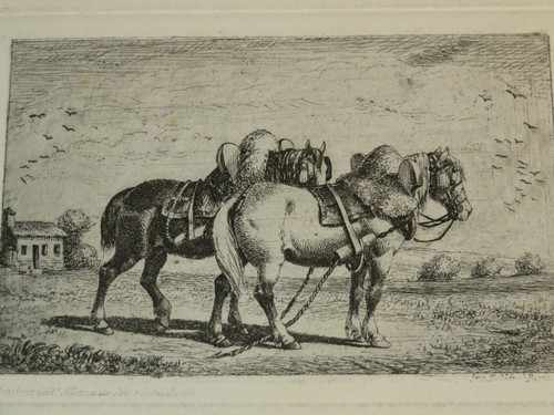 Auguste sébastien benard - sébastien,