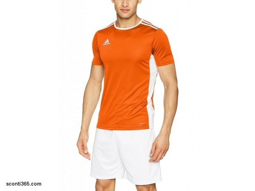 Adidas shirt entrada 18 - entrada,