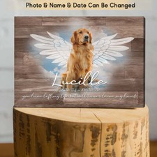 Poster Foto Cane Regalo