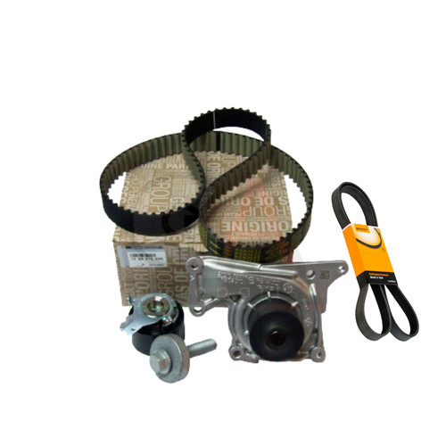 Kit distribuzione pompa - distribuzione,
