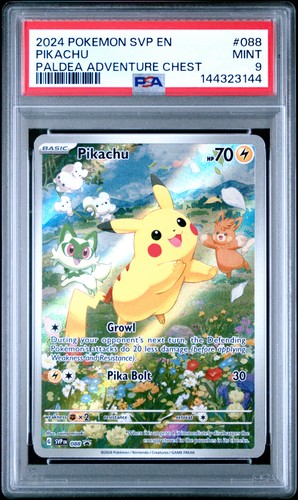 2024 pokemon svp - svp, black