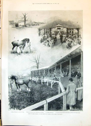 Vecchia vendita 1898 - , cavalli