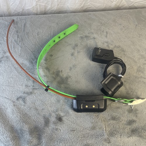 Garmin dc40 collare - dc40,