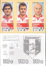 FIGURINE FOOTBALLERS PANINI
