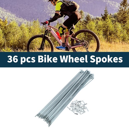 Raggi bici argento argilla - raggi,