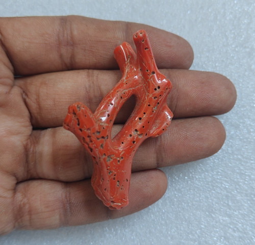 Corallo rosso lucido ramo - lucido,