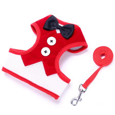 Eleganti Collari per Cani Con