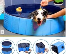 Piscina per cani - cani, gatti
