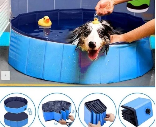 Piscina per cani gatti - piscina,
