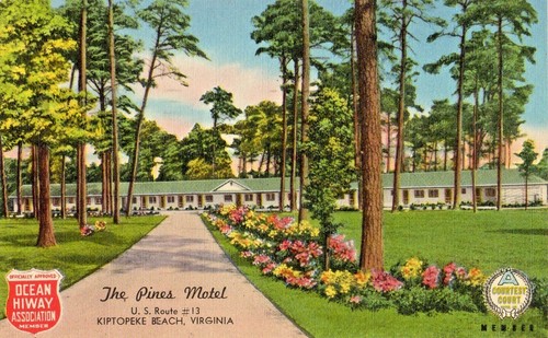 Pines motel kiptopeke beach - kiptopeke,