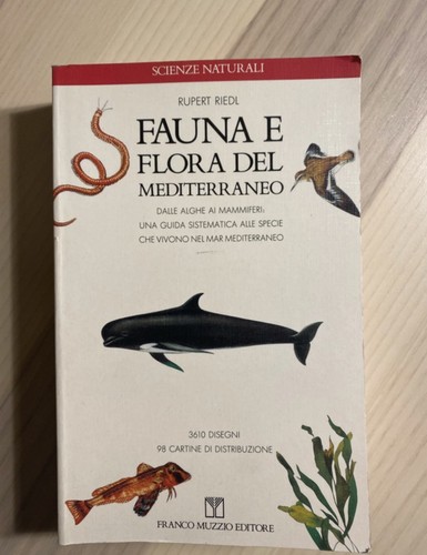 Fauna flora del mediterraneo - e,