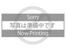 Posacenere Peter Max Irochese