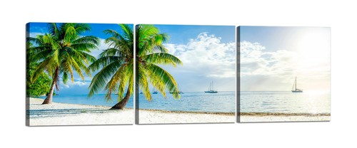 Spiaggia con palme barche - con,