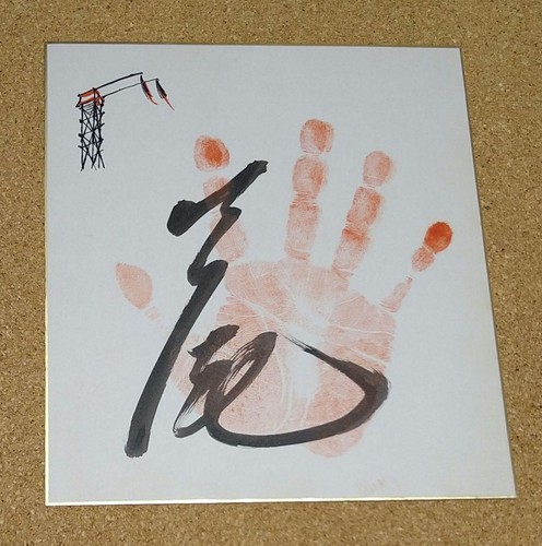 Sumo yokozuna futaba - sumo,