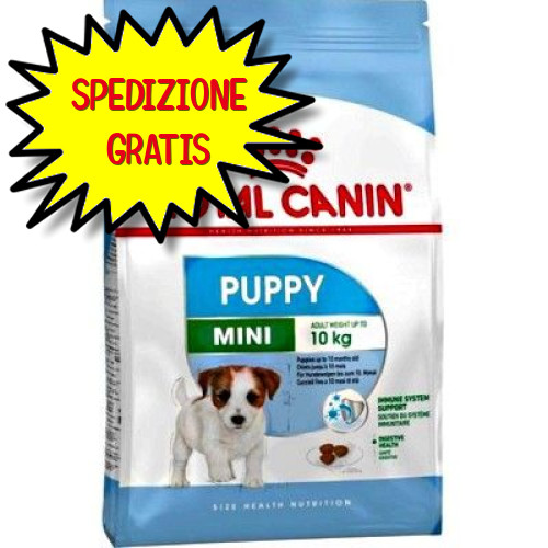 Royal canin cane - cane, mini