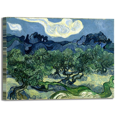 Van gogh alberi olive 2 - alberi, di