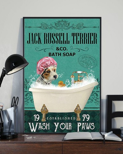 Jack russell terrier and - jack,