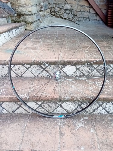 Campagnolo sigma ruota - ,