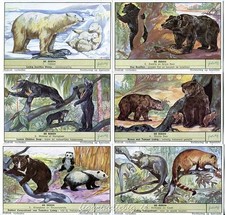 Chromo Liebig Sang. 1620 FIA