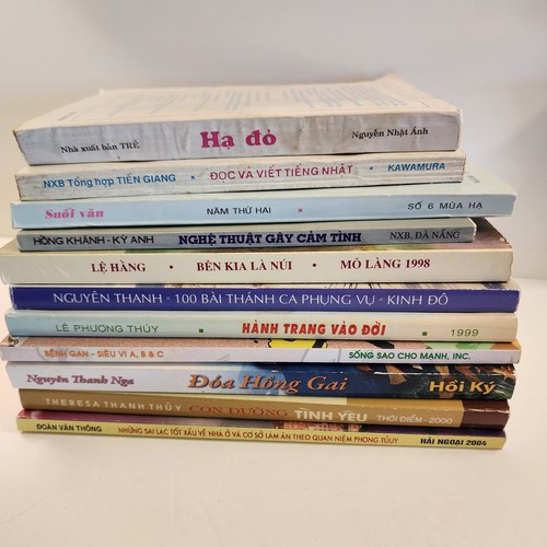 Vietnamese paperback books - vietnamese,