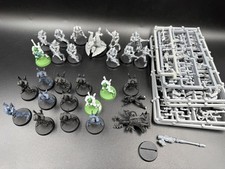 Eldar aeldari guardie raccolta - aeldari,