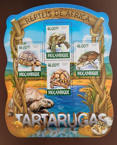 Mozambico 2015 fauna - 2015, /